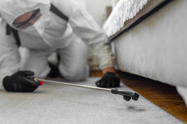 Professional Termite Control technician working in Marshall County County, KS